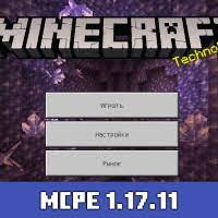 Minecraft 1.17.11 APK icon